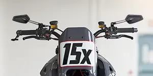 Blade pertch mount mirrors