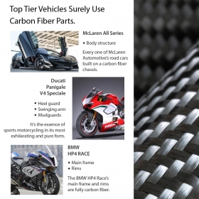 Panther 100% carbon fiber compatible with BMW