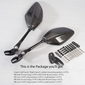 Panther 100% carbon fiber compatible with Ducati Panigale