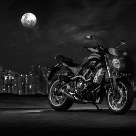 Venom black mirrors compatible with M10 metric bike & Harley Davidson