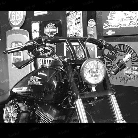 Axe black LED mirrors compatible with Harley-Davidson