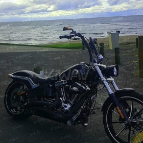 Axe black LED mirrors compatible with Harley-Davidson